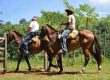horseback riding manuel antonio costa rica