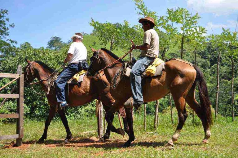 horseback riding manuel antonio costa rica